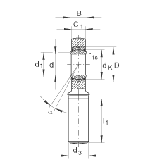 桿端軸承 GAR50-DO-2RS, 根據(jù) DIN ISO 12 240-4 標(biāo)準(zhǔn)，帶右旋外螺紋，需維護(hù)，兩側(cè)唇密封
