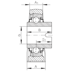 直立式軸承座單元 RASEL25-N, 鑄鐵軸承座，浮動軸承，內(nèi)圈有驅(qū)動槽，R 型密封
